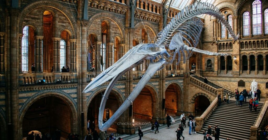 Best free museums in London Natural History Museum and Science Museum