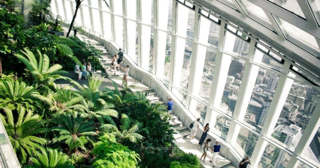 Sky Garden the best free viewpoint for London skyline views